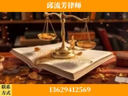 南宁-委托诉讼代理人出庭